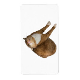 Upside-Down Sunshine Etiket