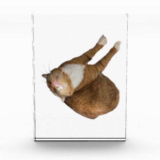 Upside-Down Sunshine Fotoblokken (Voorkant)