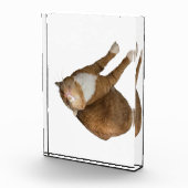 Upside-Down Sunshine Fotoblokken (Rechts)