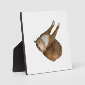 Upside-Down Sunshine Fotoplaat (Voorkant)