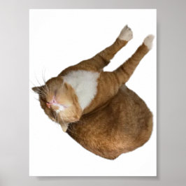 Upside-Down Sunshine Poster