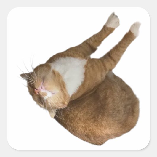 Upside-Down Sunshine Vierkante Sticker (Voorkant)