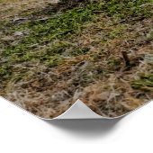 Uptown New Orleans Poster (Hoek)