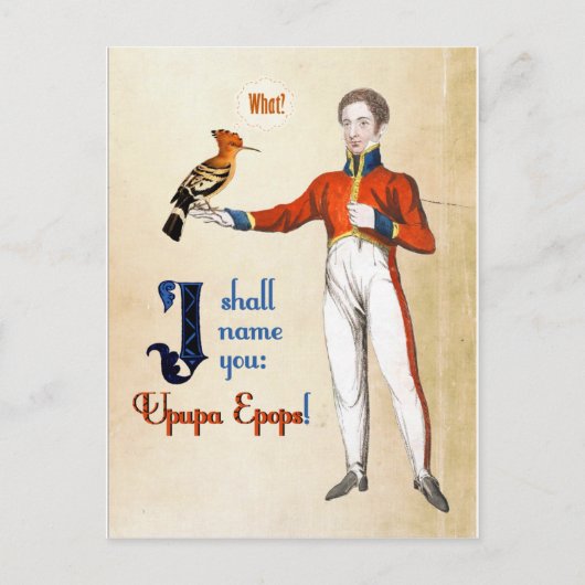 Upupa Epops Briefkaart (Voorkant)