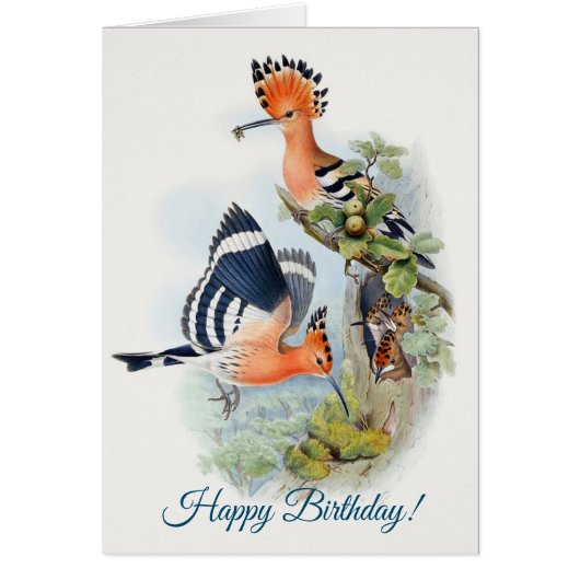 Upupa Epops Happy Birthday (Voorkant)