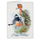 Upupa Epops Joyeux anniversaire (Devant)