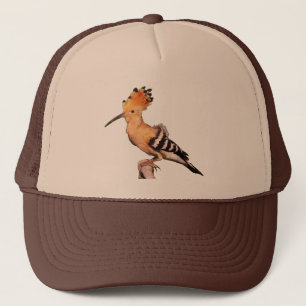 Upupa epops trucker pet