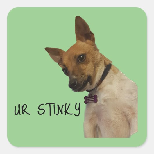 Ur stinky sticker (Voorkant)