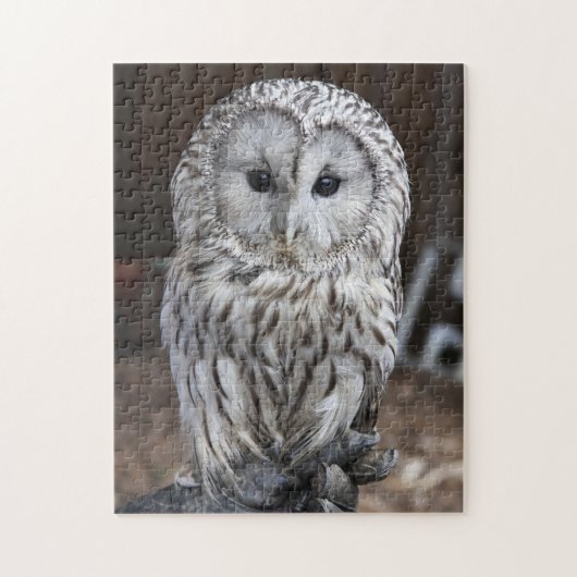 Ural Owl Legpuzzel (Verticaal)