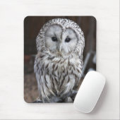 Ural Owl Muismat (Met muis)