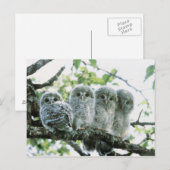 Urale owetsl. Ikeda-machi, Hokkaido, Japan Briefkaart (Voorkant / Achterkant)