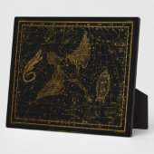 Urania's Mirror Celestial Map Gold en Black Fotoplaat (Zijkant)