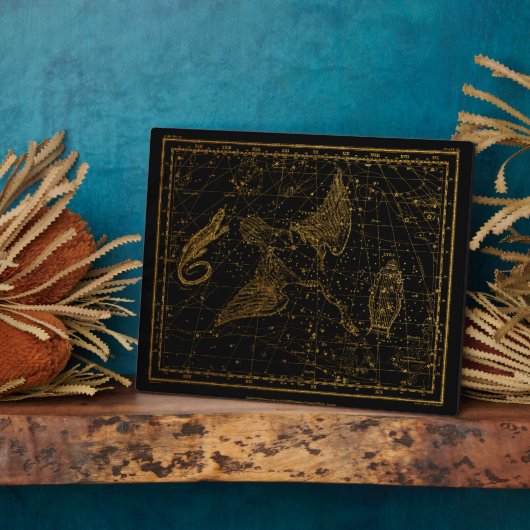 Urania's Mirror Celestial Map Gold en Black Fotoplaat (Zijkant)