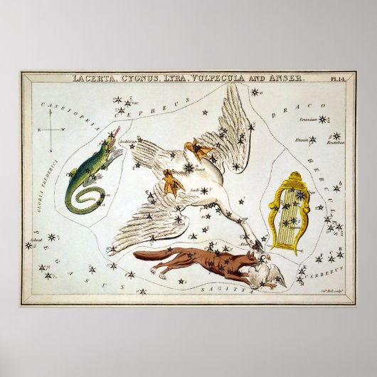 Urania's Mirror - Lacerta, Cygnus, Lyra, Vulpecula Poster (Voorkant)