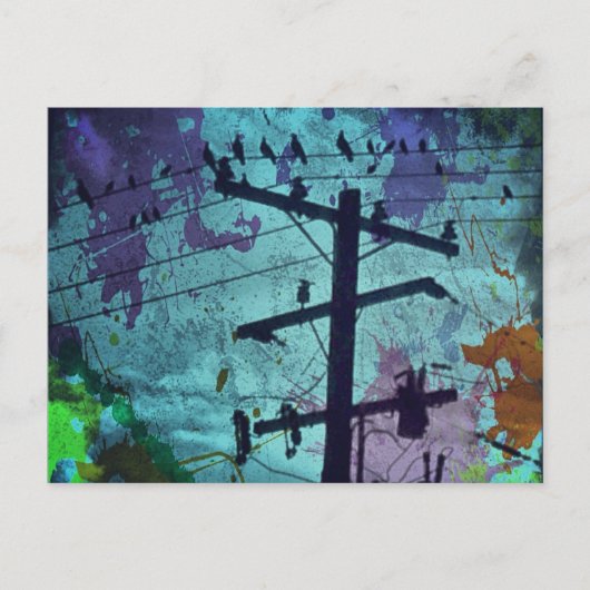 Urban Bird's Life Briefkaart (Voorkant)