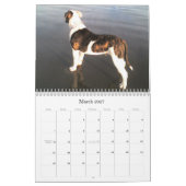 Urban Doo Crash Kalender (Mar 2027)