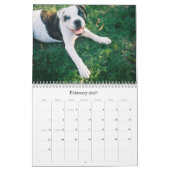 Urban Doo Crash Kalender (Feb 2027)