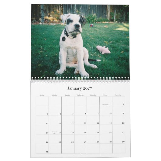 Urban Doo Crash Kalender (Jan 2027)