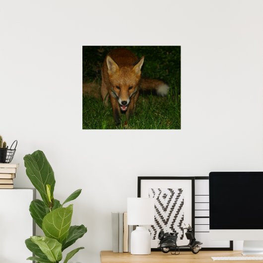 Urban Fox Poster (Thuiskantoor)