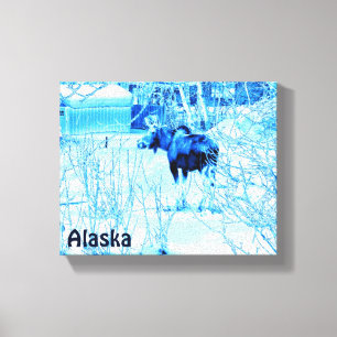 Urban Moose Canvas Afdruk