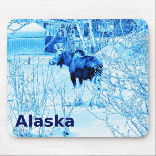 Urban Moose Muismat