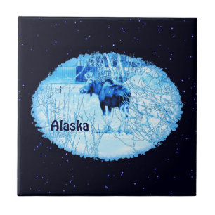 Urban Moose Tegeltje