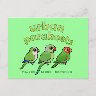 Urban Parakeets Briefkaart