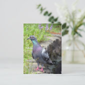 Urban Pigeon Briefkaart (Staand voorkant)
