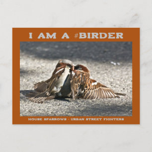 Urban Street Fighters House Sparrows Birder Briefkaart