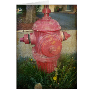 Urban Treed Fire Hydrant Card