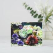 Urchin Bed Briefkaart (Staand voorkant)