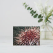 Urchin géant de la mer Rouge - Carte de visite (Debout devant)
