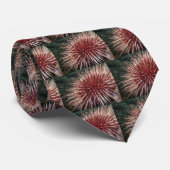 Urchin géant de la mer Rouge - Cravate (Roulé)