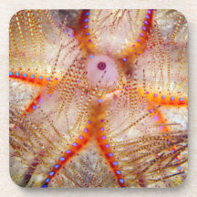 Urchin Hard Plastic Onderzetters tegen brand (set 