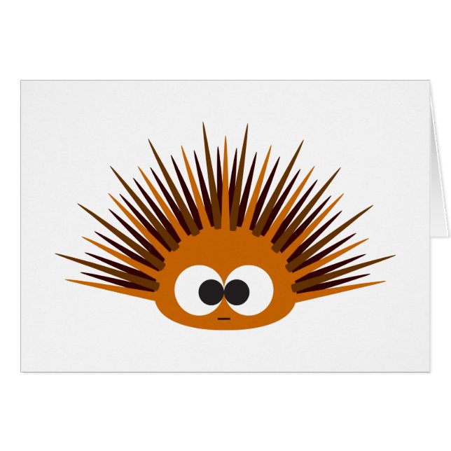 Urchin Mer Orange (Devant Horizontal)