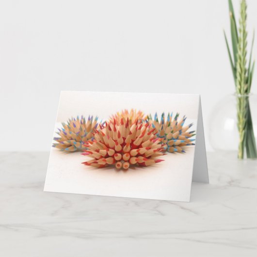 Urchins Kaart (Voorkant)