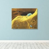 Ureumpoeder Canvas Afdruk (Insitu (Houten vloer))