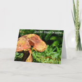 Urodziny - Drôle carte d'anniversaire polonaise (Devant)