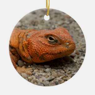 Uromastyx geyri keramisch ornament