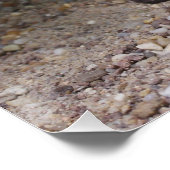 Uromastyx geyri perfect poster (Hoek)