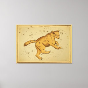 Ursa Major -  Astronomisch Star Chart Afbeelding Canvas Afdruk