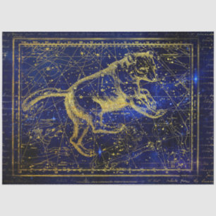 ursa major constellation tissue paper tissuepapier