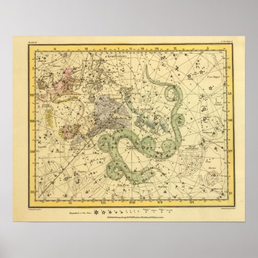 Ursa Minor, Cassiopeia, Tarandus, Cepheus Poster (Voorkant)