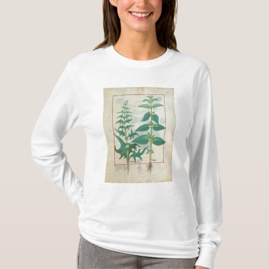 Urticaceae T-shirt (Voorkant)