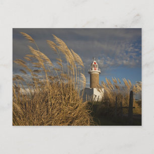 Uruguay, Montevideo, Montevideo. Briefkaart