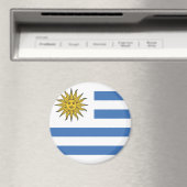 Uruguay-vlag Magneet (Insitu (Vaatwasser))