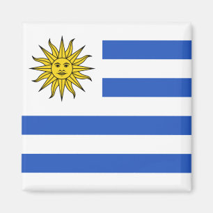 Uruguay-vlag Magnet Magneet
