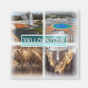US0149 Amerika, Verenigde Staten, Yellowstone, Koe Magneet