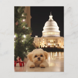 US Capitol Hill Christmas Briefkaart hond