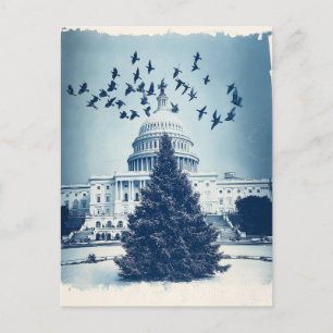 US Capitol Hill Christmas Tree Carte de vacances,